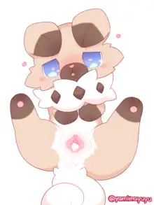 Rockruff, 日本語