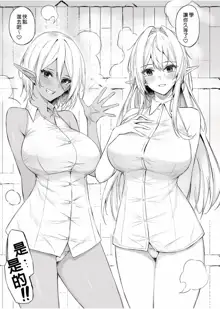 IS ELF BIG SISTER SUKI?, 中文