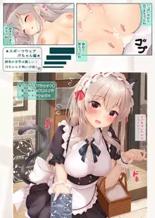 特別指導JKちゃんと放課後H, 日本語