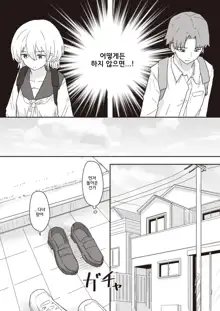 Doukyo Seikatsu Ijou Ari! | Abnormal Cohabitation!, 한국어