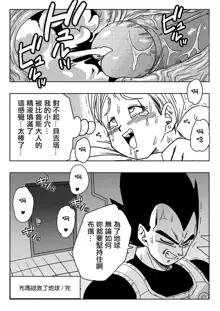 Bulma ga Chikyuu o Sukuu! (decensored), 中文