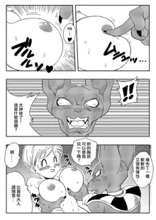 Bulma ga Chikyuu o Sukuu! (decensored), 中文