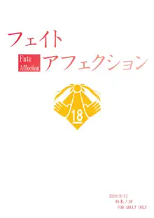 なのはReflectionヒロインズ R-18総集編, 日本語