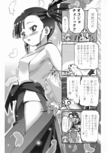 エヴァにゃんご乱心, 日本語