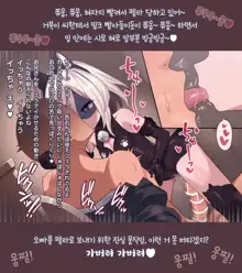 Kaitou Shiro Kuro Cats 2 | 괴도 시로쿠로 캣츠 2, 한국어