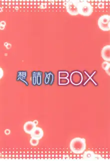 想詰めBOX 48, 中文