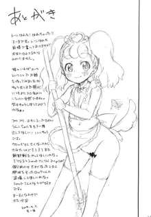 こどもじゃないんだプリンセスプリキュアなんだ！, 日本語