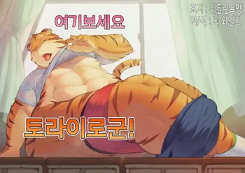 Kocchi Muite yo Torakado-kun | 여기 보세요 토라이로 군, 한국어