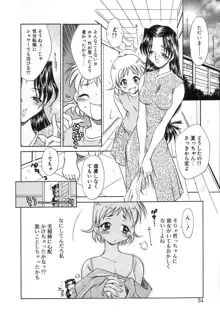 夏がきた！！, 日本語