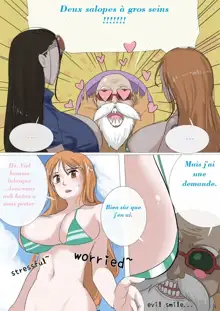 The Sexual Life Of The Turtle Hermit (One Piece, Dragon Ball) french, Français