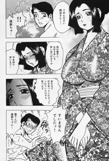 淑女の性癖, 日本語