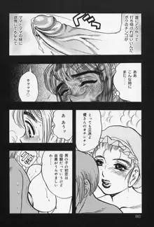 淑女の性癖, 日本語