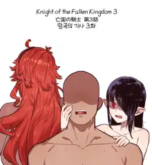 Knight of the Fallen Kingdom 3 (uncensored), 日本語