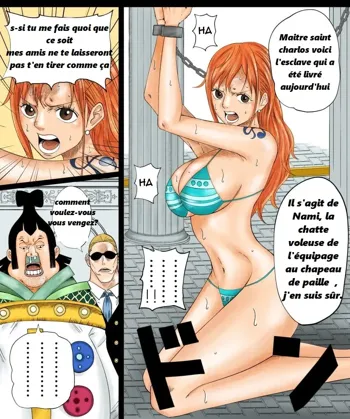 Nami-san Manga, Français