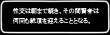 女賢者堕つ, 日本語