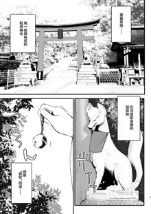 Komagitsune no Yue, 中文