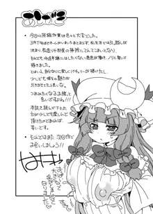 東方迷込 ～パチュリー編2～, 日本語