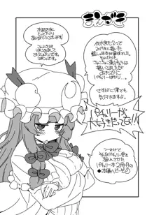 東方迷込 ～パチュリー編2～, 日本語