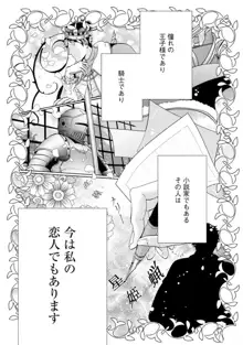 夢見る編集者と無気力小説家 1-11, 日本語