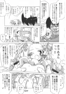 ちっちゃい娘☆至上主義！, 日本語