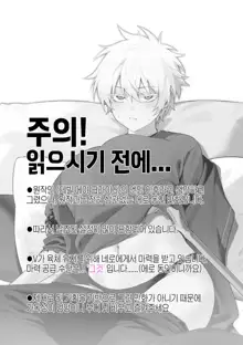 Nero♀ CG manga, 한국어