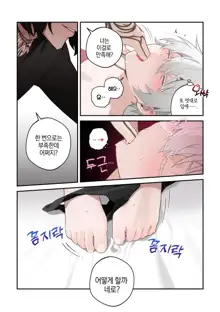 Nero♀ CG manga, 한국어