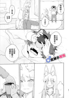 ♂ ga uke. Kitsune-chan × tanuki-kun｜♂吃掉小公狸。小狐狸X狸猫同学, 中文