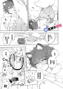 ♂ ga uke. Kitsune-chan × tanuki-kun｜♂吃掉小公狸。小狐狸X狸猫同学, 中文