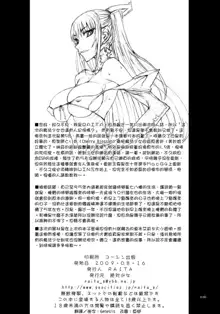 魔法少女1-22 （中国翻译）, 中文