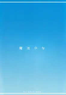 魔法少女1-22 （中国翻译）, 中文