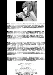 魔法少女1-22 （中国翻译）, 中文