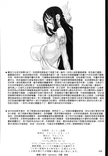 魔法少女1-22 （中国翻译）, 中文