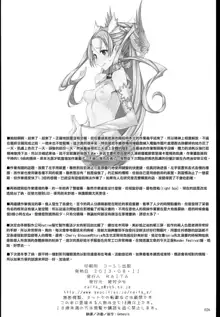 魔法少女1-22 （中国翻译）, 中文