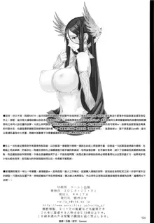 魔法少女1-22 （中国翻译）, 中文