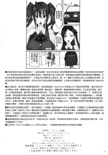 魔法少女1-22 （中国翻译）, 中文