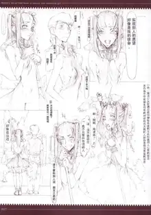 魔法少女1-22 （中国翻译）, 中文