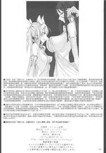 魔法少女1-22 （中国翻译）, 中文