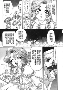 Elf no Wakaokusama | 精靈嬌妻 Vol. 3, 中文