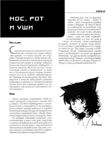 Zharinov A.A. - Manga. Learning to draw Japanese comics, Русский