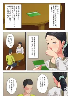 お母さんにぶつけなさい, 日本語