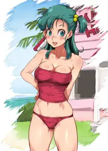 bulma niaxs!, 日本語