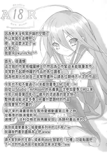 AR19 Shakugan no Shana 9, 中文