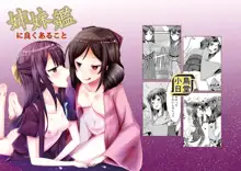 姉妹艦に良くあること, 日本語