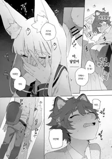 ♂ ga uke. Kitsune-chan × tanuki-kun | ♂이 수비. 여우 양 × 너구리 군, 한국어