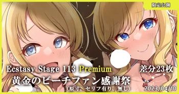 Ecstasy Stage 113 Premium 黄金のビーチファン感謝祭, 日本語