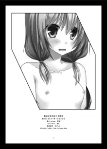 Exhibitionist Girl Diary Collection, English