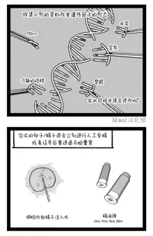 Pregnancy part1 (decensored), 中文