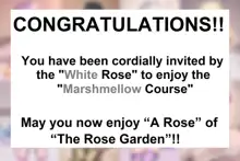 The Rose Garden, English