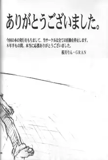 NEON GENESIS EVANGELION 最終章 document S, 日本語