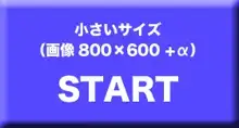 DS[daemon slave]ex なまいき悪魔娘発情露出調教, 日本語